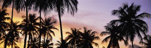 Sunset in Tobago