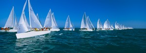 Sailboats Racing in Florida