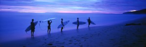 Surfers after sunset
