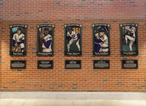 Chicago Cubs Hall of Fame Illustrations