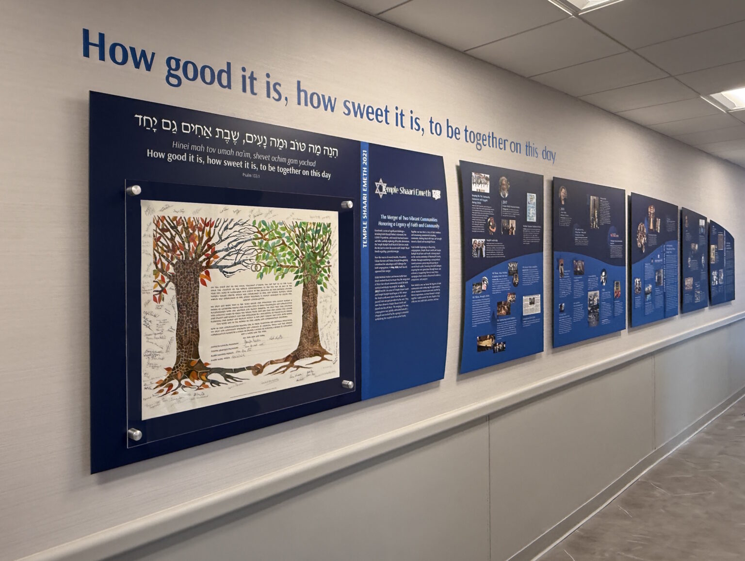 History Timeline Walls - Design/Install Beautiful History Walls